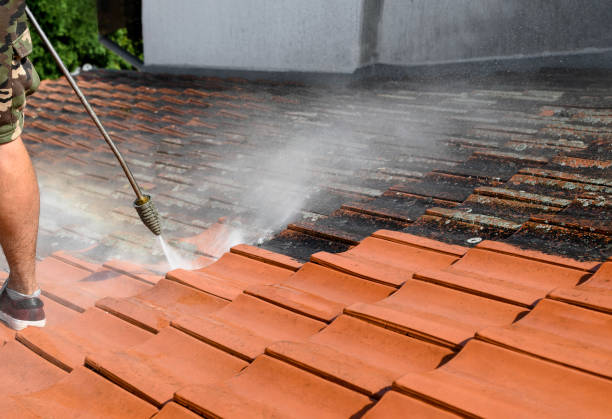 Best Roof Pressure Washing  in Minturn, CO